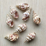 Natural Shell Conch Charms Pendants for DIY Necklace Bracelet Making
