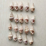 Natural Shell Conch Charms Pendants for DIY Necklace Bracelet Making