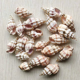 Natural Shell Conch Charms Pendants for DIY Necklace Bracelet Making
