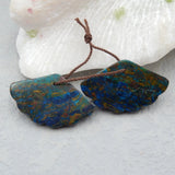 Chrysocolla Carved Leaf Gemstone Earrings