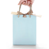 Jewelry Handbag Paper Bag with Ribbon, Customizable Print