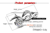 925 Sterling Silver Brooch Zircon Inlaid Solid Silver Accessories