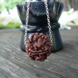 Natural Brown Rudraksha Silver Beads Necklace for Chakra Easter Prayers