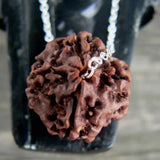 Natural Brown Rudraksha Silver Beads Necklace for Chakra Easter Prayers