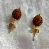 Brown Rudraksha Bead Earrings Natural Hook Jewelry Wedding