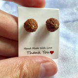 Brown Rudraksha Bead Earrings Natural Hook Jewelry Wedding