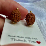 Brown Rudraksha Bead Earrings Natural Hook Jewelry Wedding