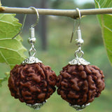 Natural Brown Rudraksha Bead Silver Earrings Hook