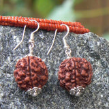 Natural Brown Rudraksha Bead Silver Earrings Hook