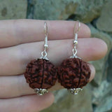 Natural Brown Rudraksha Bead Silver Earrings Hook