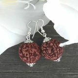 Natural Brown Rudraksha Bead Silver Earrings Hook