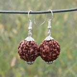 Natural Brown Rudraksha Bead Silver Earrings Hook