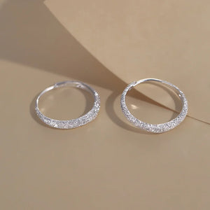 S925 Silver-Plated Galaxy Frosted Earrings SE1342