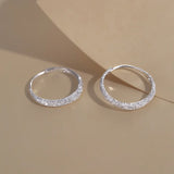 S925 Silver-Plated Galaxy Frosted Earrings SE1342