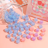 Persimmon Resin Beads DIY Jewelry Set