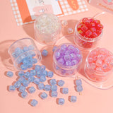 Persimmon Resin Beads DIY Jewelry Set