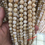 Natural Trochus Shell Stone Round Loose Beads 4-12mm for Jewelry Making
