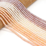 100% Natural Freshwater Pearl Beads Flat Shape Loose Beads 4-5mm