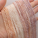 Natural Freshwater Pearl Beads Rice Shape Jewelry Making DIY 2.5-3mm