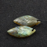 img_801681