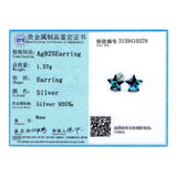 Crystal Star Earrings S925 Sterling Silver Women's Gift