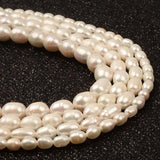 Freshwater Pearl Rice Shape Beads DIY Jewelry Making