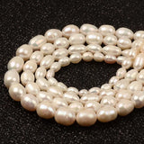 Freshwater Pearl Rice Shape Beads DIY Jewelry Making
