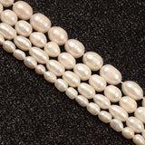 Freshwater Pearl Rice Shape Beads DIY Jewelry Making