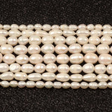 Freshwater Pearl Rice Shape Beads DIY Jewelry Making