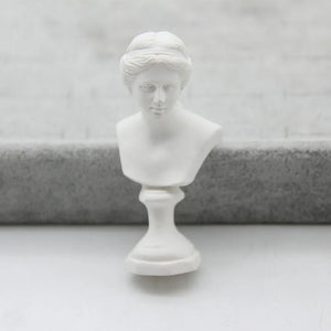 Abstract Effigy FishSheep Plaster Model Resin Brooches For Women