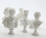 Abstract Effigy FishSheep Plaster Model Resin Brooches For Women
