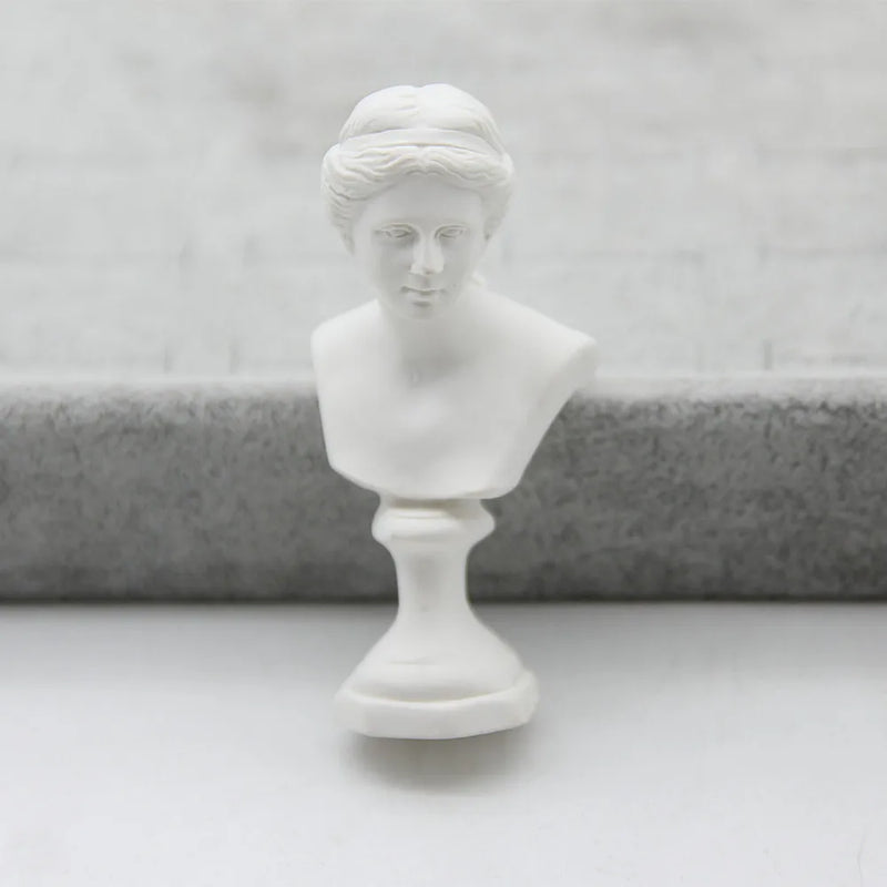 Abstract Effigy FishSheep Plaster Model Resin Brooches For Women