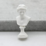 Abstract Effigy FishSheep Plaster Model Resin Brooches For Women