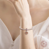 925 Sterling Silver Crystal Beads Lucky Charms