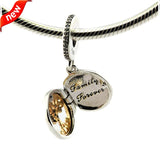 925 Sterling Silver Family Roots Bracelet Charms With Clear CZ