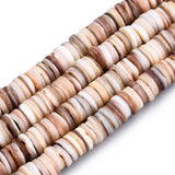 Natural Freshwater Shell Heishi Beads 6~11mm 170~175pcs/strand