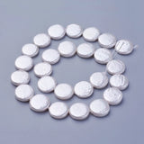 Shell Pearl Beads Strands for Jewelry Making DIY