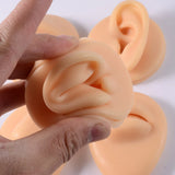 Flexible Human Ear Model Silicone Nose Navel Nipple Tongue Simulation