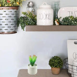 Silicone Flower Pot Epoxy Resin Mold DIY Crafts