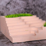 Succulent Flower Planter Silicone Mold DIY