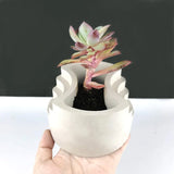 Silicone Flower Pot Cement Mold for DIY Pen Holder Home Decor