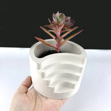 Silicone Succulent Planter Mold DIY Holder Mold