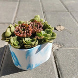 Silicone Flower Pot Mold DIY Concrete Succulent Vase