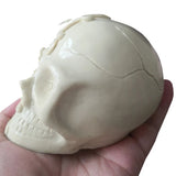 Skull Candle Soap Mold for DIY Aroma Candles