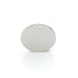 Fnixtar 20Pcs/Lot Stainless Steel Round Charms 8-30mm