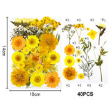 Dried Flowers DIY Crystal Resin Mold Fillings UV Epoxy Nail Art