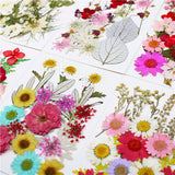 Dried Flowers DIY Crystal Resin Mold Fillings UV Epoxy Nail Art