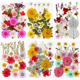 Dried Flowers DIY Crystal Resin Mold Fillings UV Epoxy Nail Art