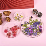 Dried Flowers DIY Crystal Resin Mold Fillings UV Epoxy Nail Art