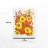 DIY Dried Flower Resin Fillings Real Flower for Home Decoration Nail Art